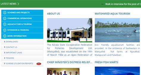 Matsyafed to launch online sales across State .